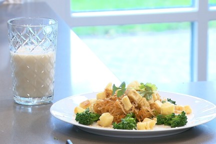 Kelp noedels met cassave (145)