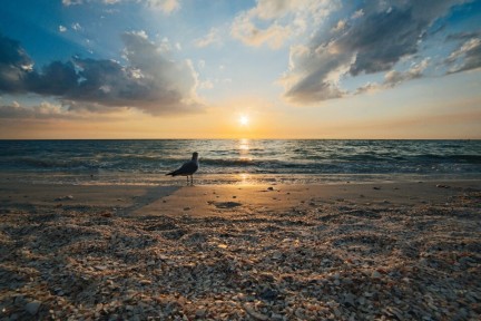 Speurzoeken op het strand op Texel