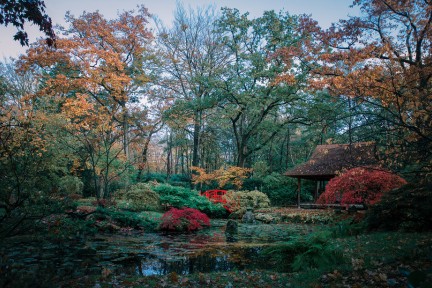 Japanse tuin