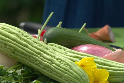 Sopropo in Bleiswijk