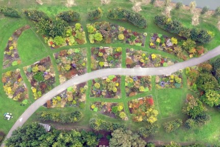 Kleurrijke stadshof in Utrecht, ontworpen door Piet Oudolf