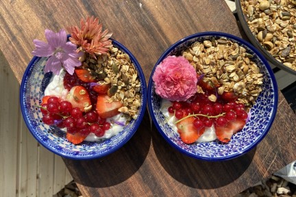 Granola met zelfgemaakt aalbessenjam