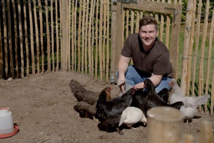 De kippen van Angelo in Emelgem