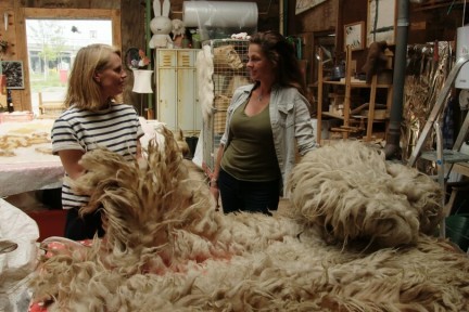 Wolkorrels in Haarlem