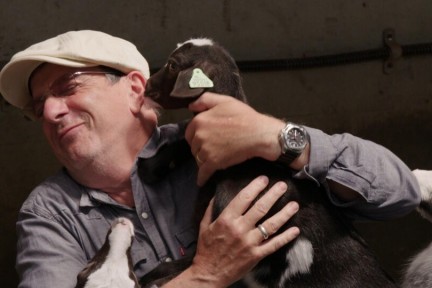 Alain bezoekt biologische geitenhouders in Stolwijk