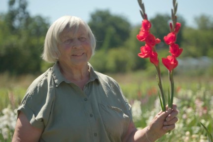 Liefde voor gladiolen