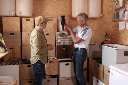 Bubbels van rabarber