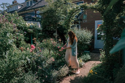 Zo gebuik je de zeis