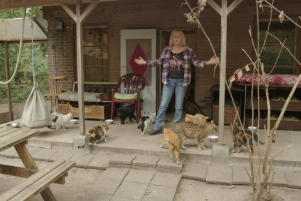 Het St Kattendorp in Harfsen