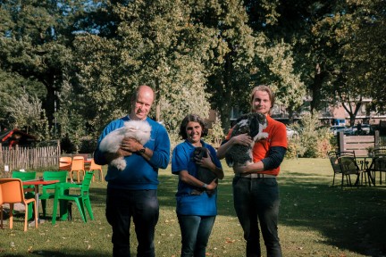Knuffelkonijnen in Zwolle