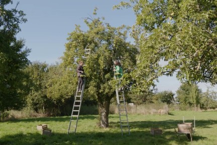 Dier en natuur in harmonie op het landgoed van Hèlen Sturm in Strijen