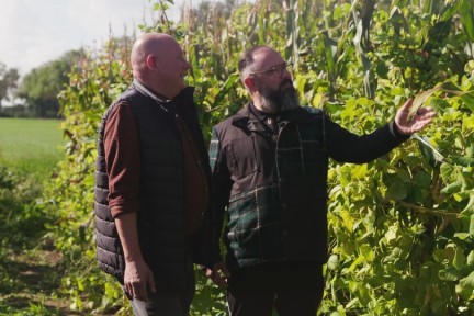 Pompoenpitten in De Heurne