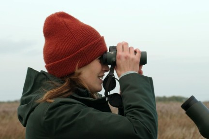 Spreeuwen Broeksterwald