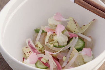 Ceviche met Nederlandse kiwi's