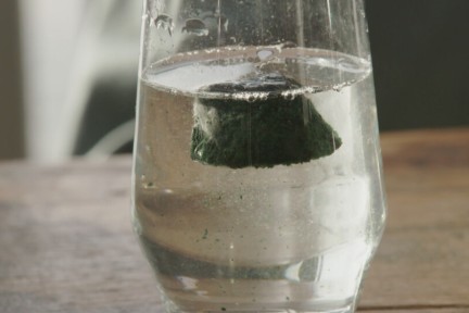 Voedzame algen Rotterdam