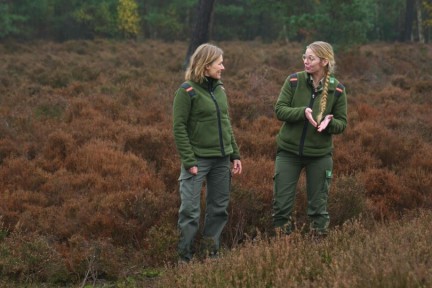 De Woldberg Steenwijk