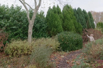 Wintertuin in Vlagtwedde