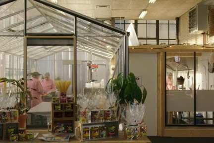 Exotische gerechten met linzen