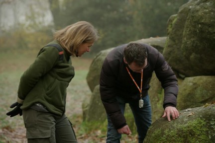 Hunebedden met verschillende soorten mos