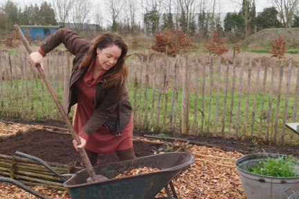 Start BinnensteBuiten moestuin