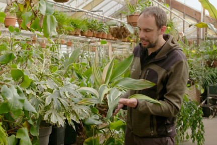 Rogier van Vugt van de Hortus Leiden laat zien dat je ook binnen kunt tuinieren met kamerplanten.