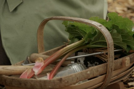 Nationale Zaaidag met Anne Wieggers