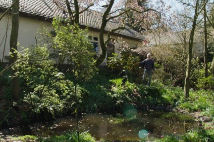 Magnolia’s in Ossendrecht