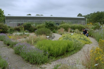 Sint-jans ui Utrecht