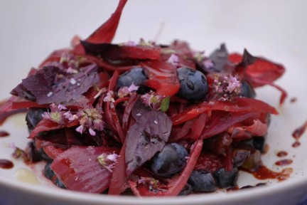 Blauwe bessen salade