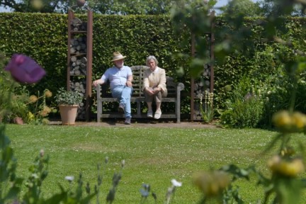 Kleurrijke tuin vol beuken en rozen
