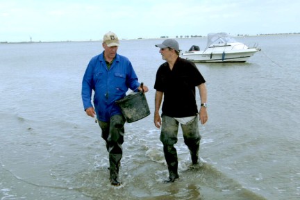 Alain proeft Zeeuwse zeegroenten