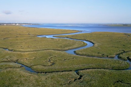 De schorren en slikken in Sint Annaland