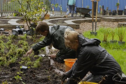 schoolplein dordrecht