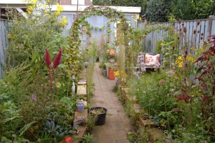 Weelderige jungle van Katja staling