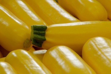 Gele courgette