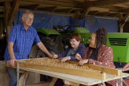 Biologische hazelnoot kwekerij