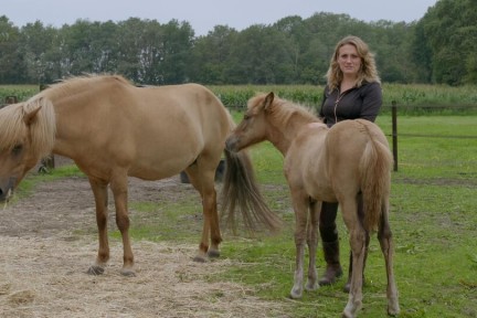 Kiki is straalverliefd op haar IJslandse paarden