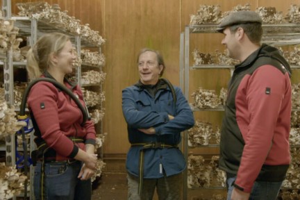 Exotische paddenstoelen kwekerij in Velddriel