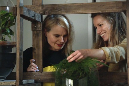 lichtgevende planten