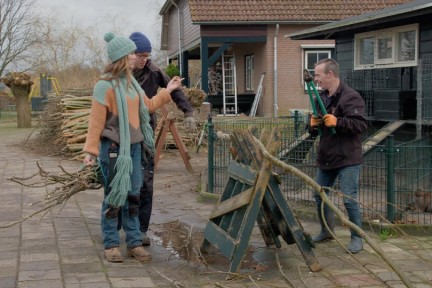 Manon en Simon krijgen hulp met wilgen knotten