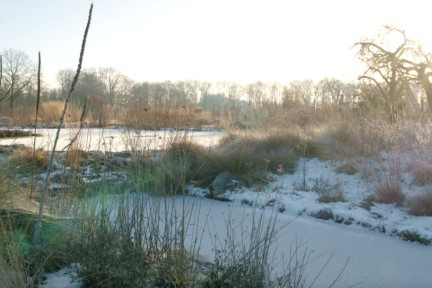 Een sprookjesachtige tuin bedekt met een laagje sneeuw