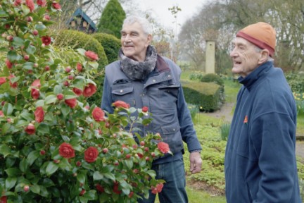 Betoverende Camellia’s