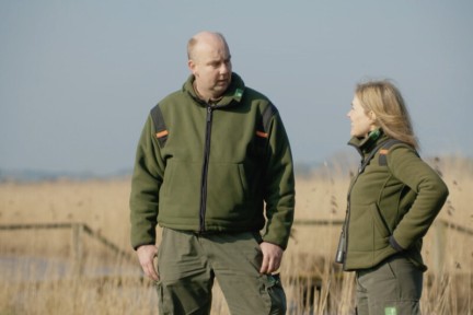Een prachtig rietlandschap met ecologische waarde