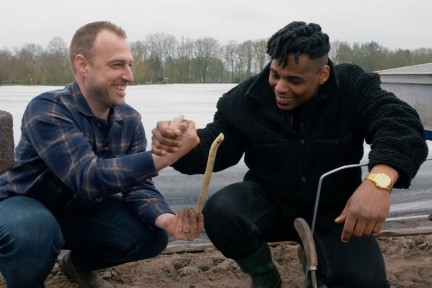 Vroege asperges in Brabant