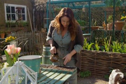 Zo plant je de Cosmea