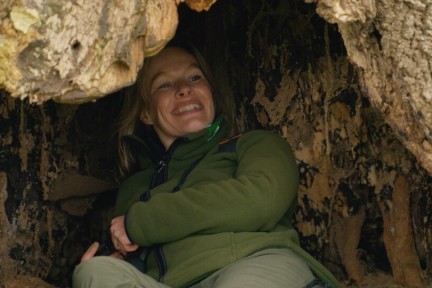 Oude bomenwandeling in Limburg