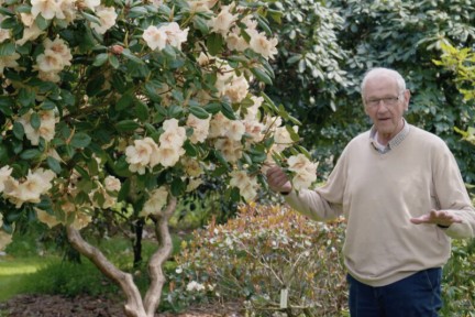 Rinus heeft een rhododendron paradijs