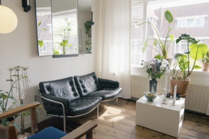 Vier beste vrienden wonen samen in een huurhuis met een voorliefde voor design en kunst