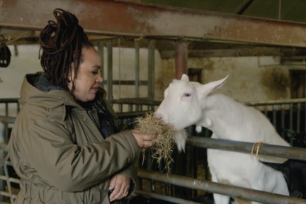 chef-kok Sharon bezoekt een geitenboerderij
