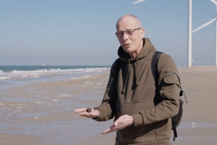 Fossielen zoeken op de Maasvlakte
